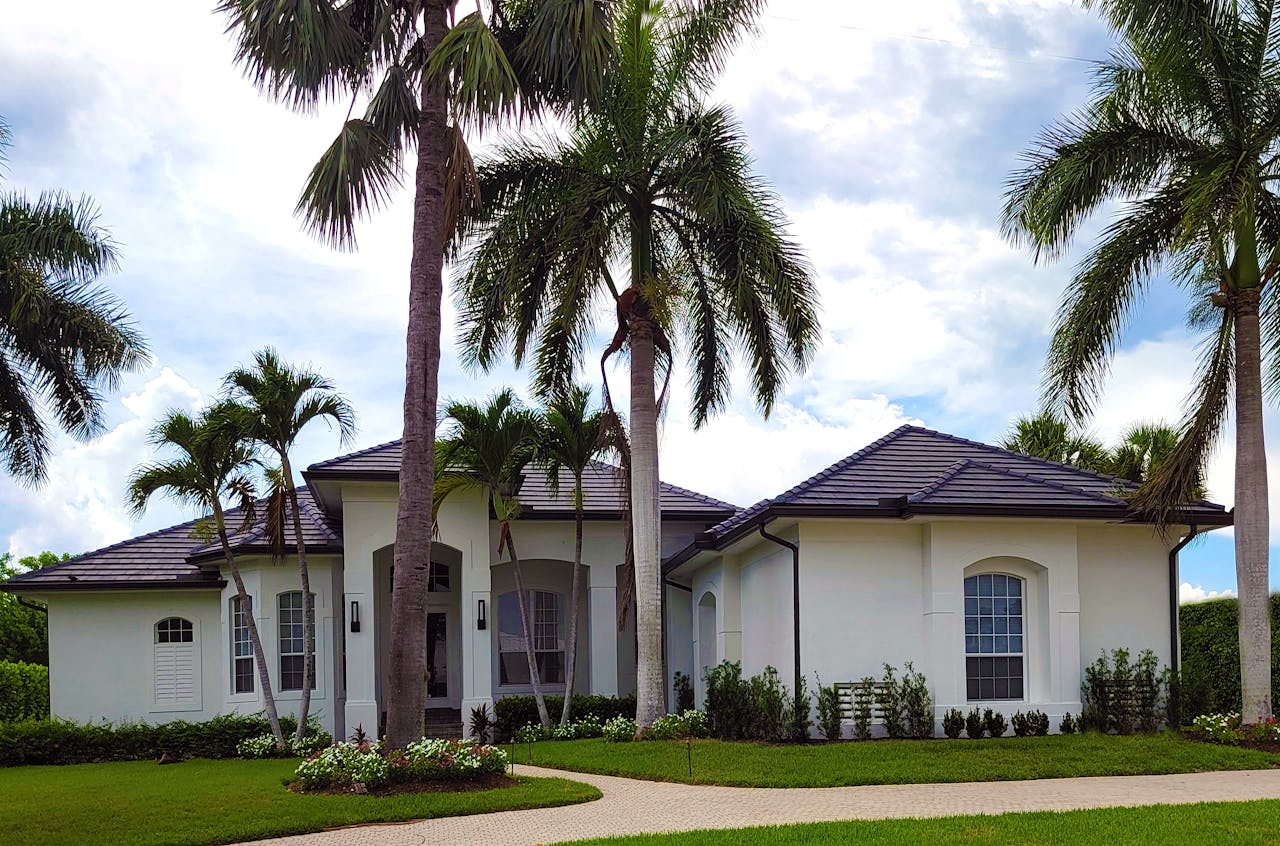 White residential house surrounded by lush palm trees in a tropical setting.