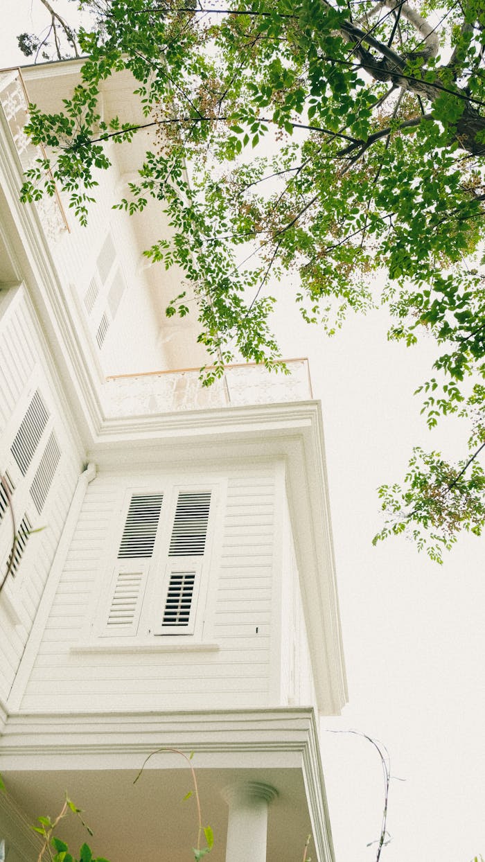 Low angle view of a white traditional house facade with green leaves, capturing tranquility and simplicity.